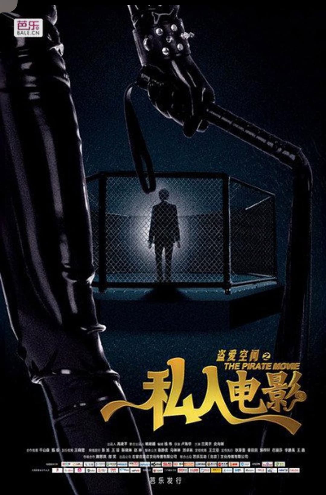 Poster di 盗爱空间之私人电影