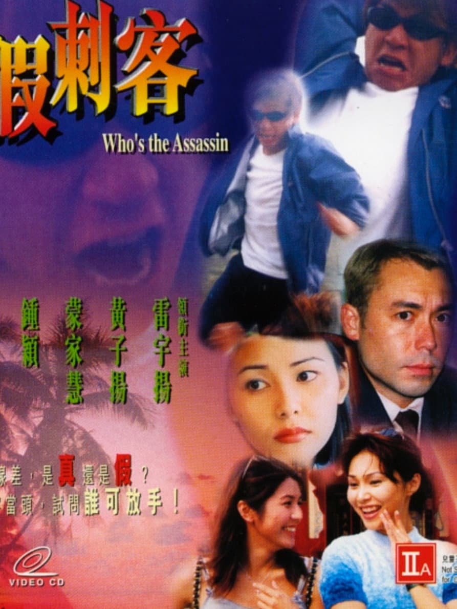 Poster di 真假刺客