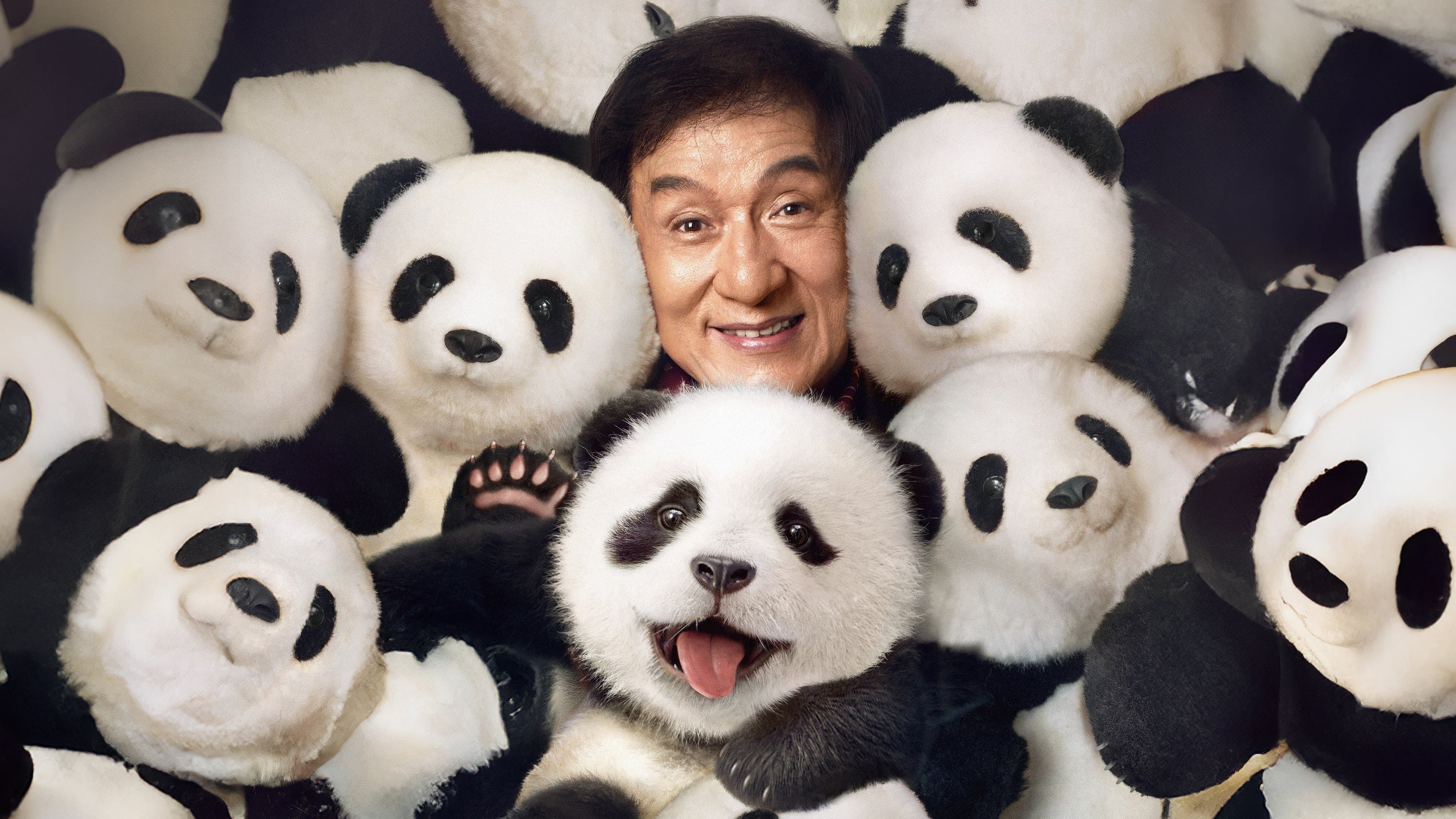 Panda Plan - immagine