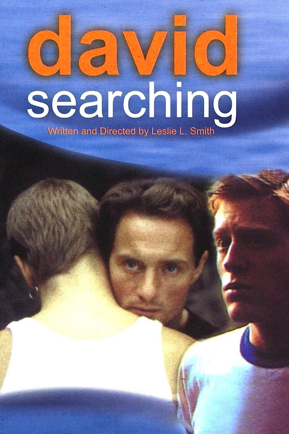 Poster di David Searching