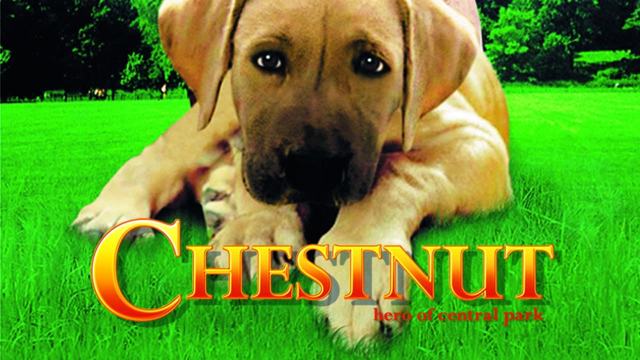 Chestnut - L'eroe di Central Park - immagine