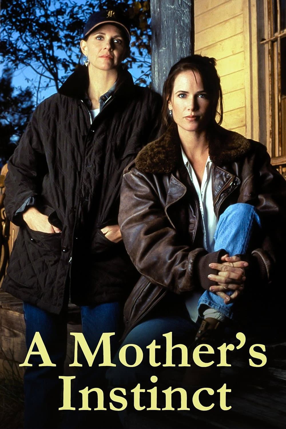 Poster di A Mother's Instinct