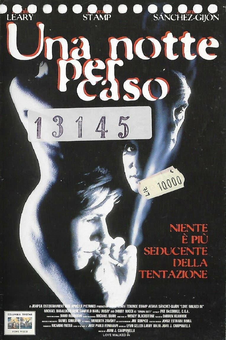 Poster di Una notte per caso