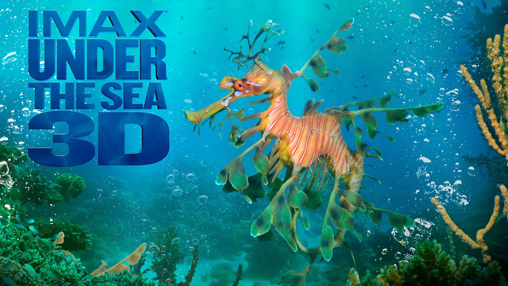 Under the Sea 3D - immagine