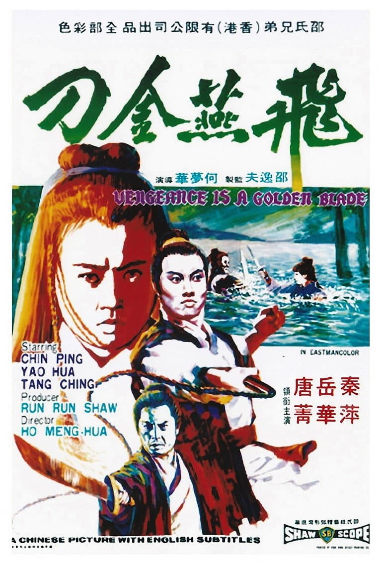 Poster di 飛燕金刀
