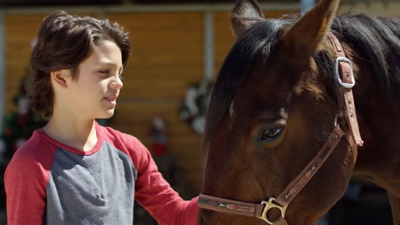 Ace & the Christmas Miracle - immagine