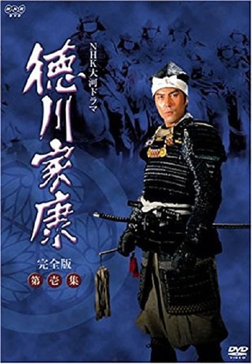 Poster di 徳川家康