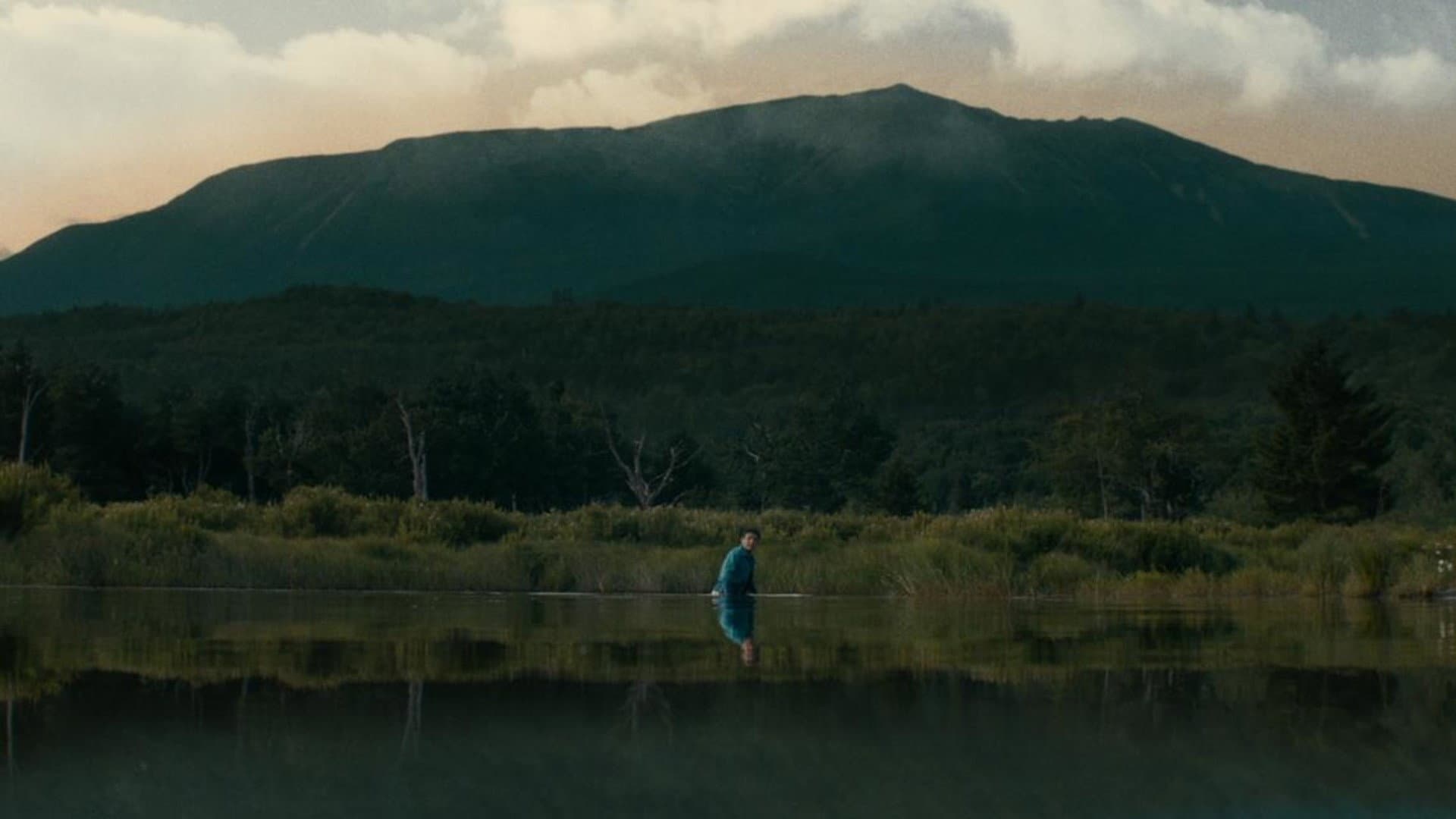 Lost on a Mountain in Maine - immagine
