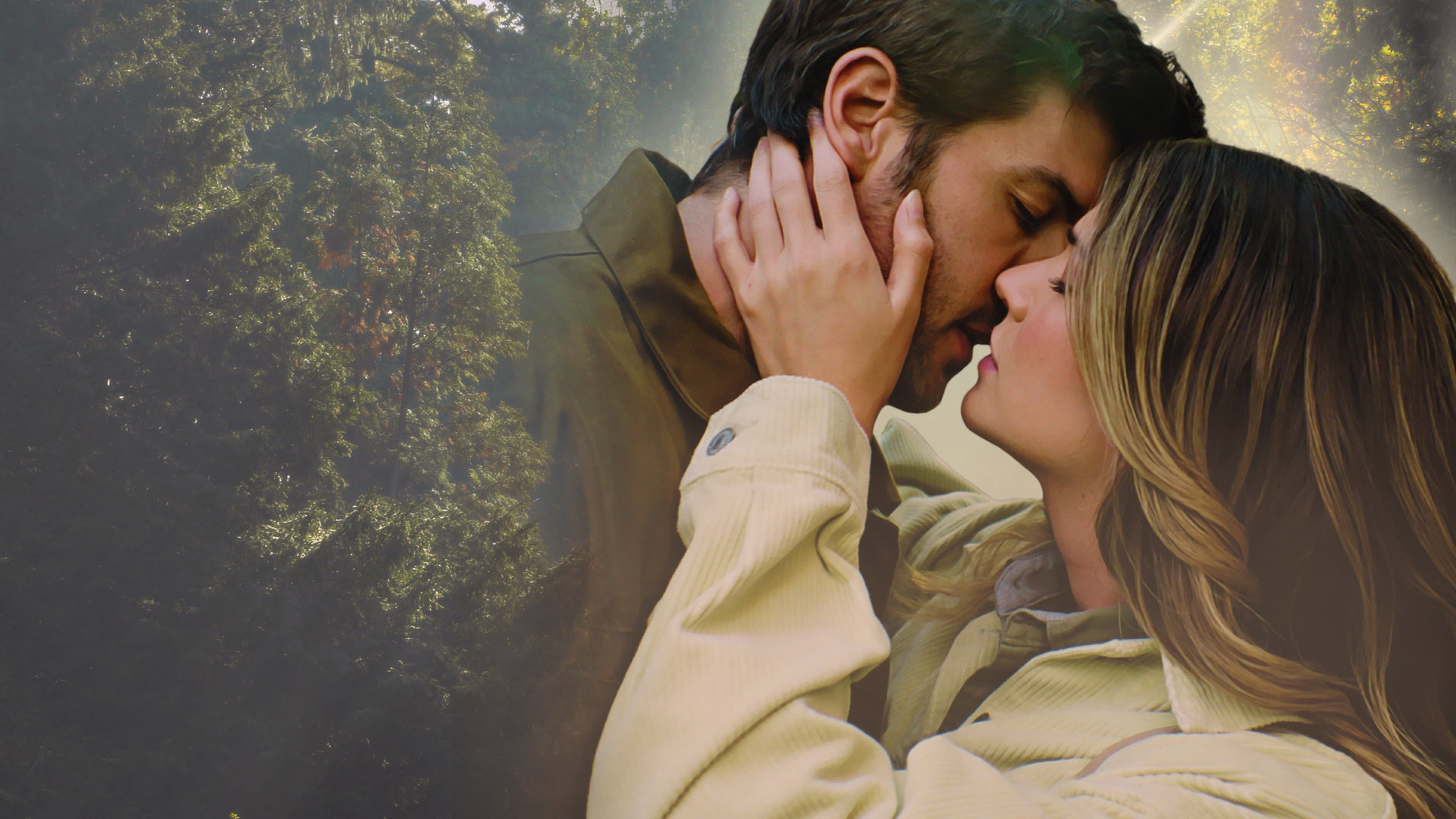 Someone like you - L’eco del cuore - immagine