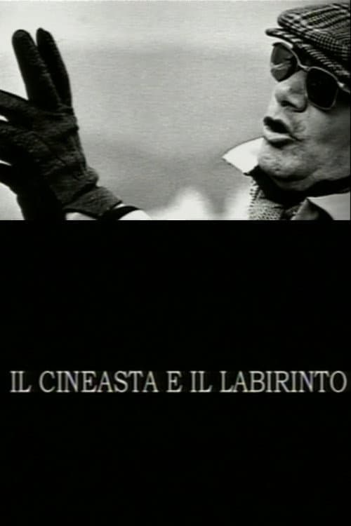 Poster di Il cineasta e il labirinto
