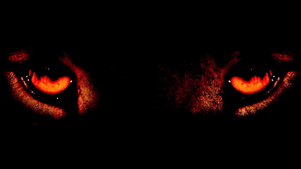 Spiriti nelle tenebre - immagine