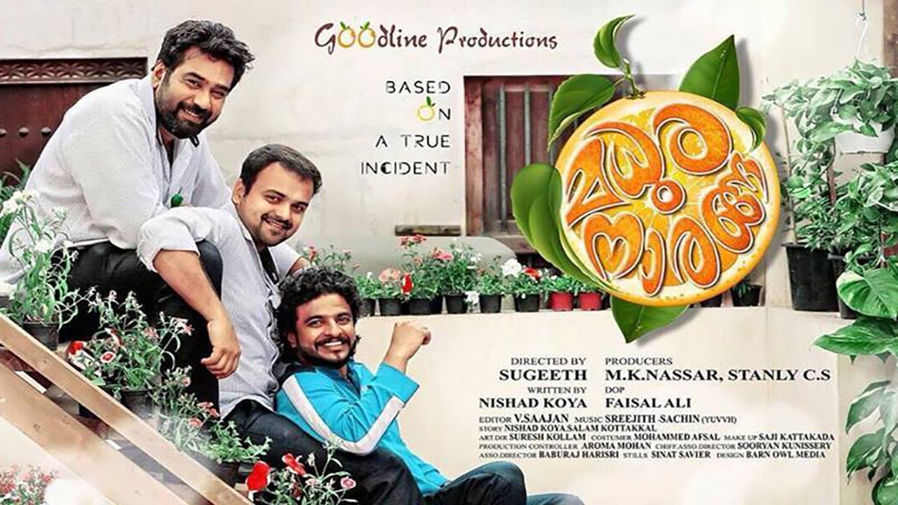മധുര നാരങ്ങ - immagine
