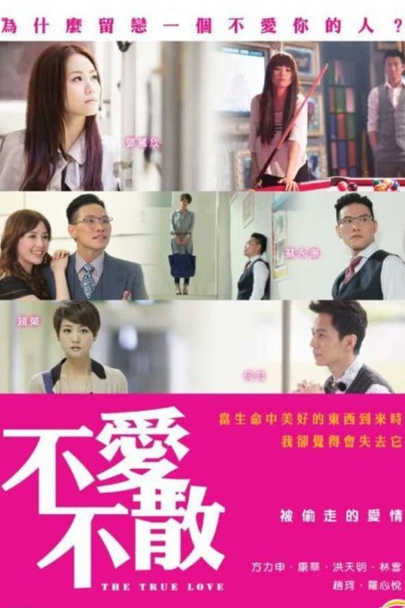 Poster di 不爱不散