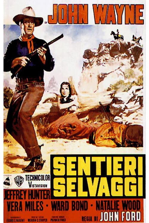 Poster di Sentieri selvaggi