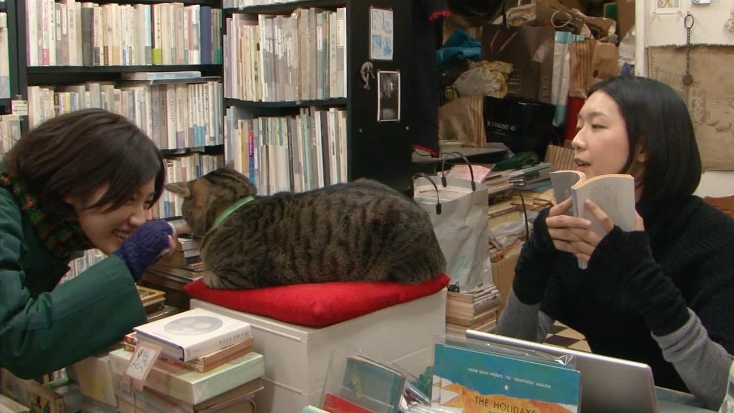 私は猫ストーカー - immagine