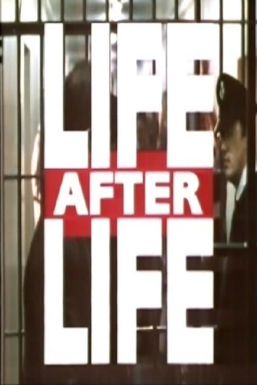 Poster di Life After Life