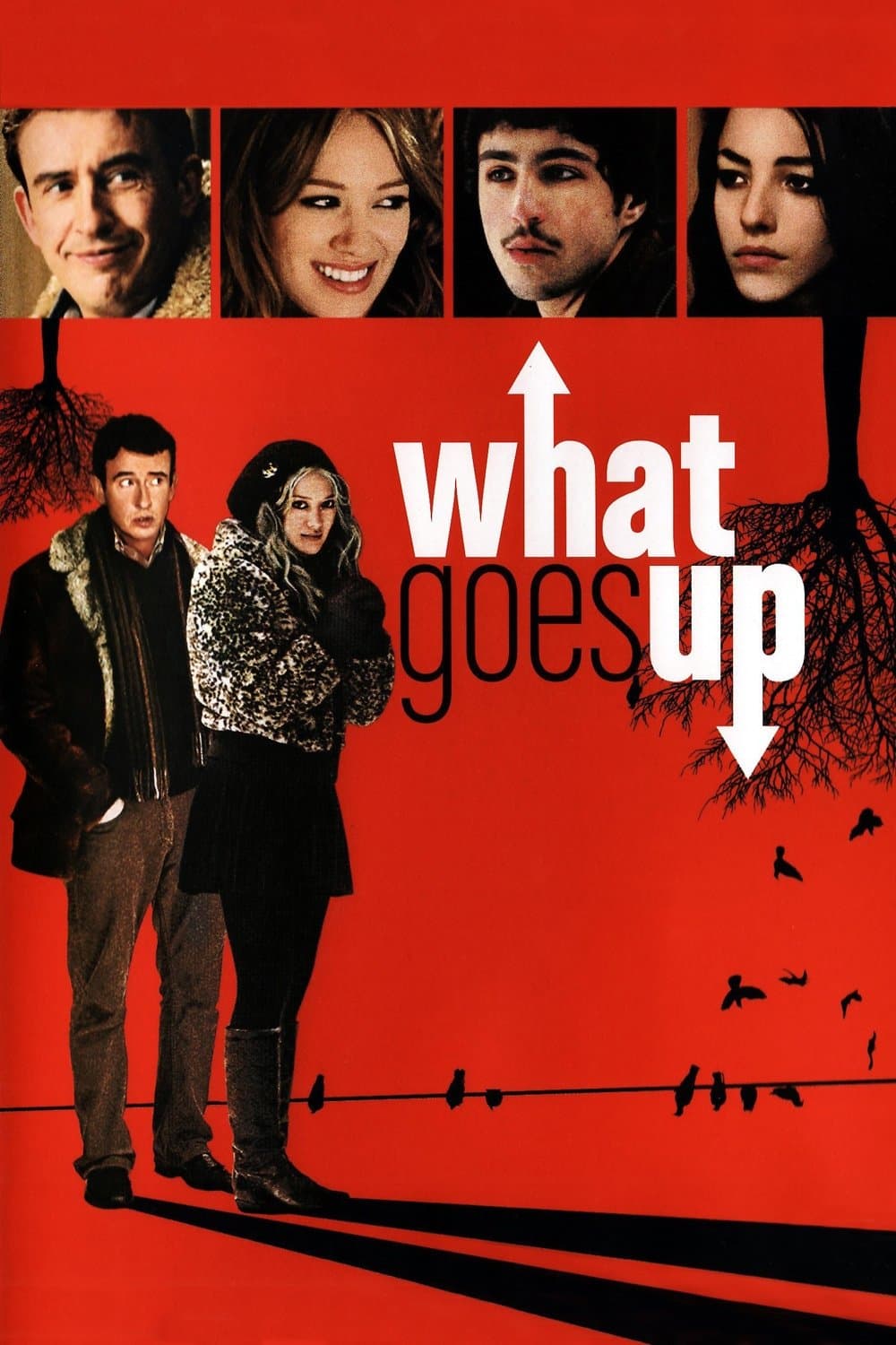 Poster di What Goes Up