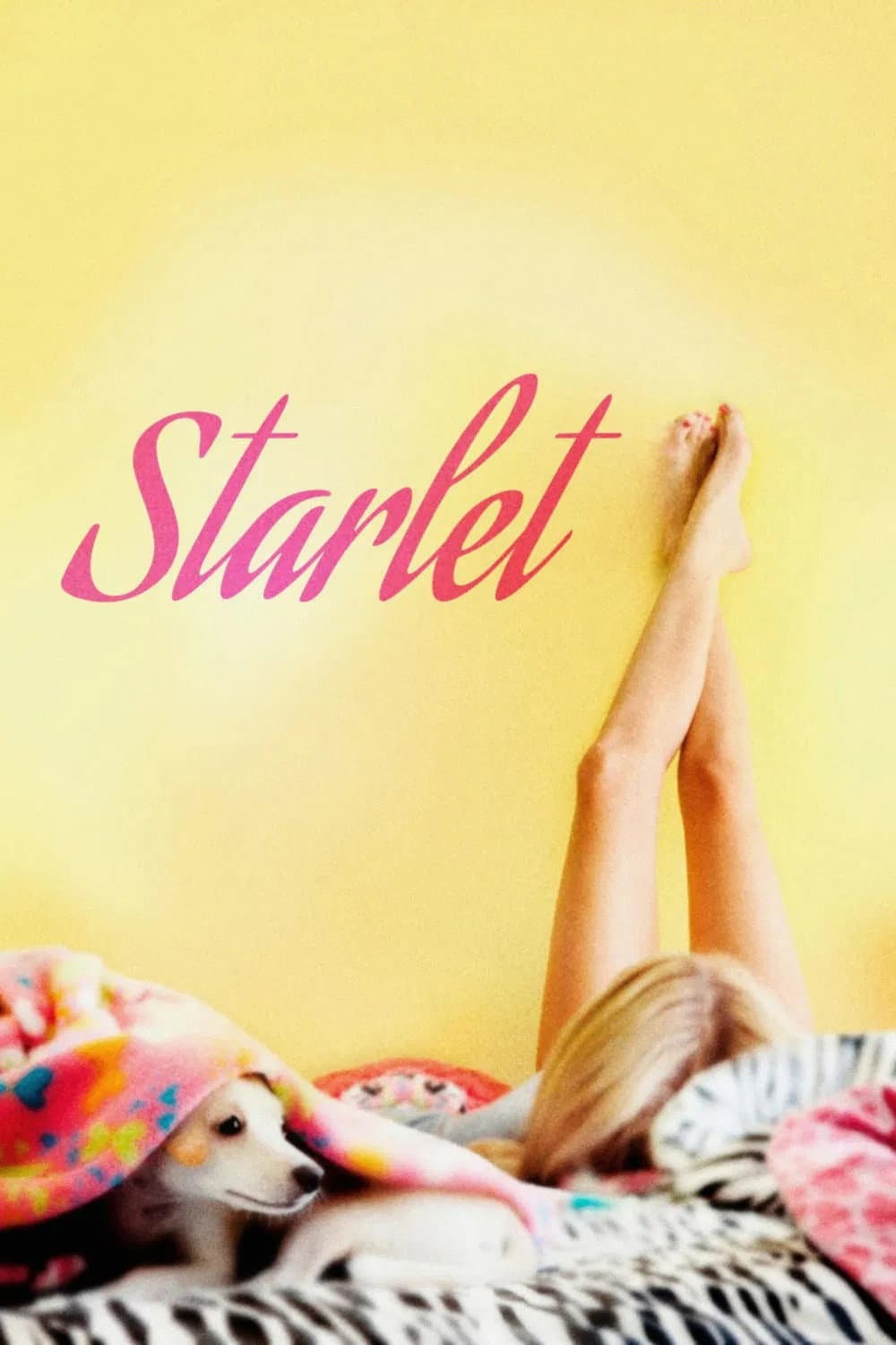 Poster di Starlet