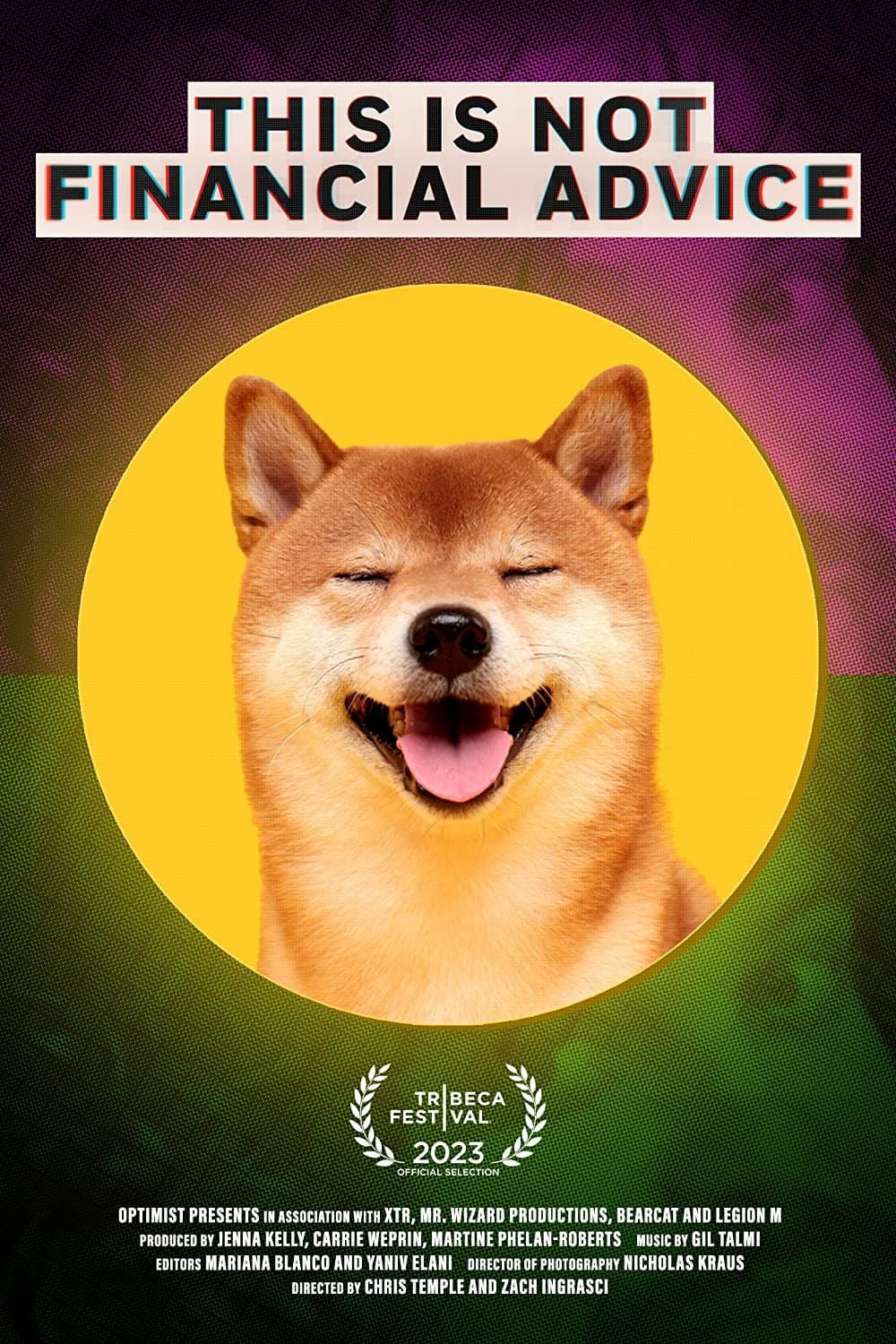 Poster di This Is Not Financial Advice