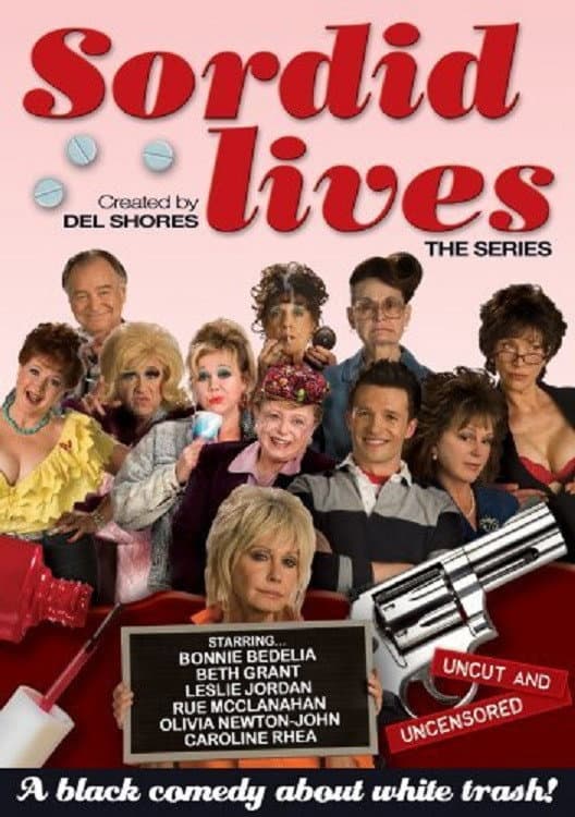 Poster di Sordid Lives: The Series