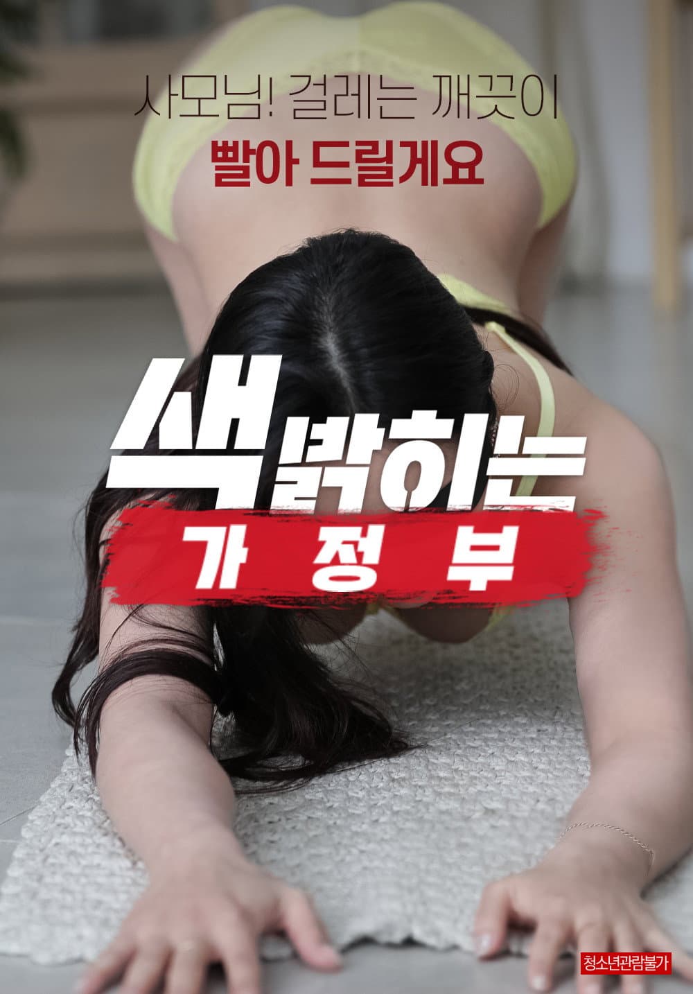 Poster di 색 밝히는 가정부