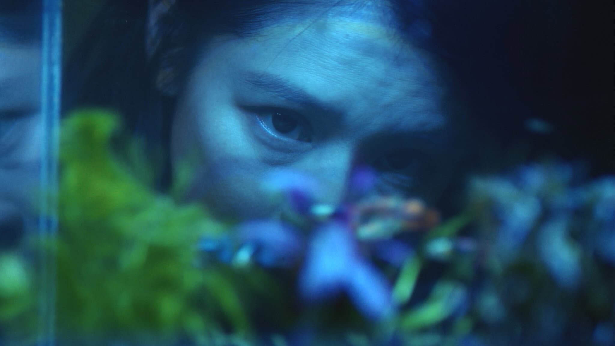 人面魚:紅衣小女孩外傳 - immagine