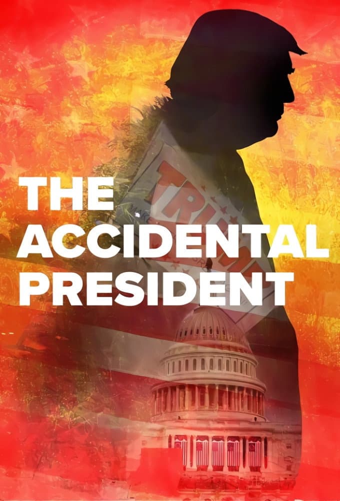Poster di The Accidental President