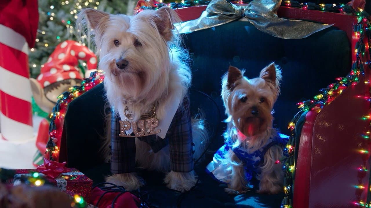 Puppy Star Christmas - immagine