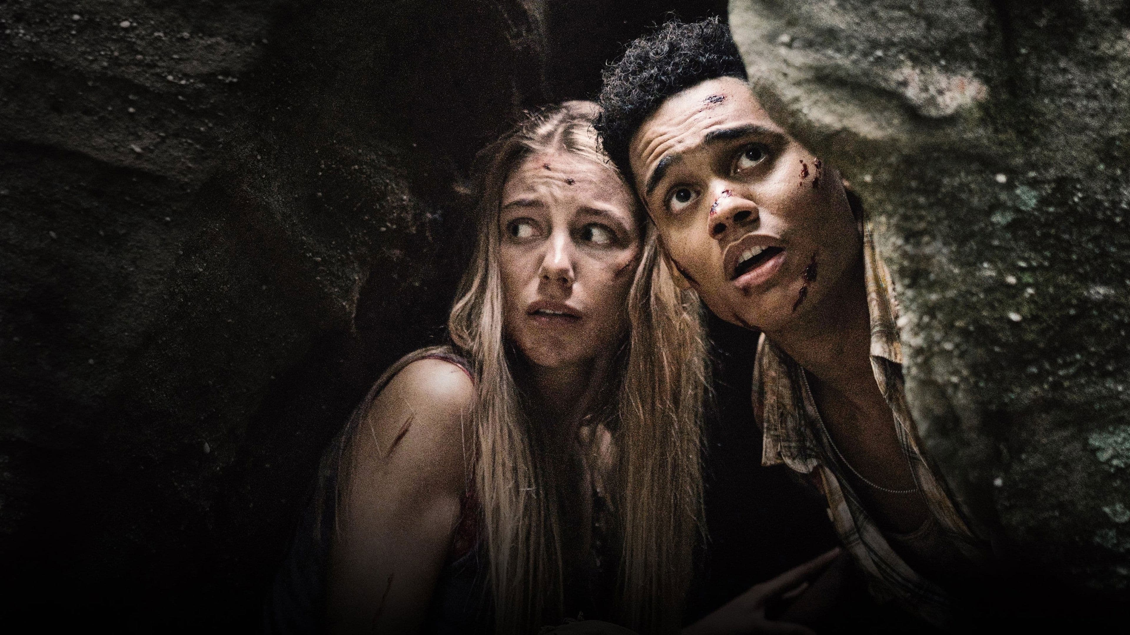 Wrong Turn - The Foundation - immagine