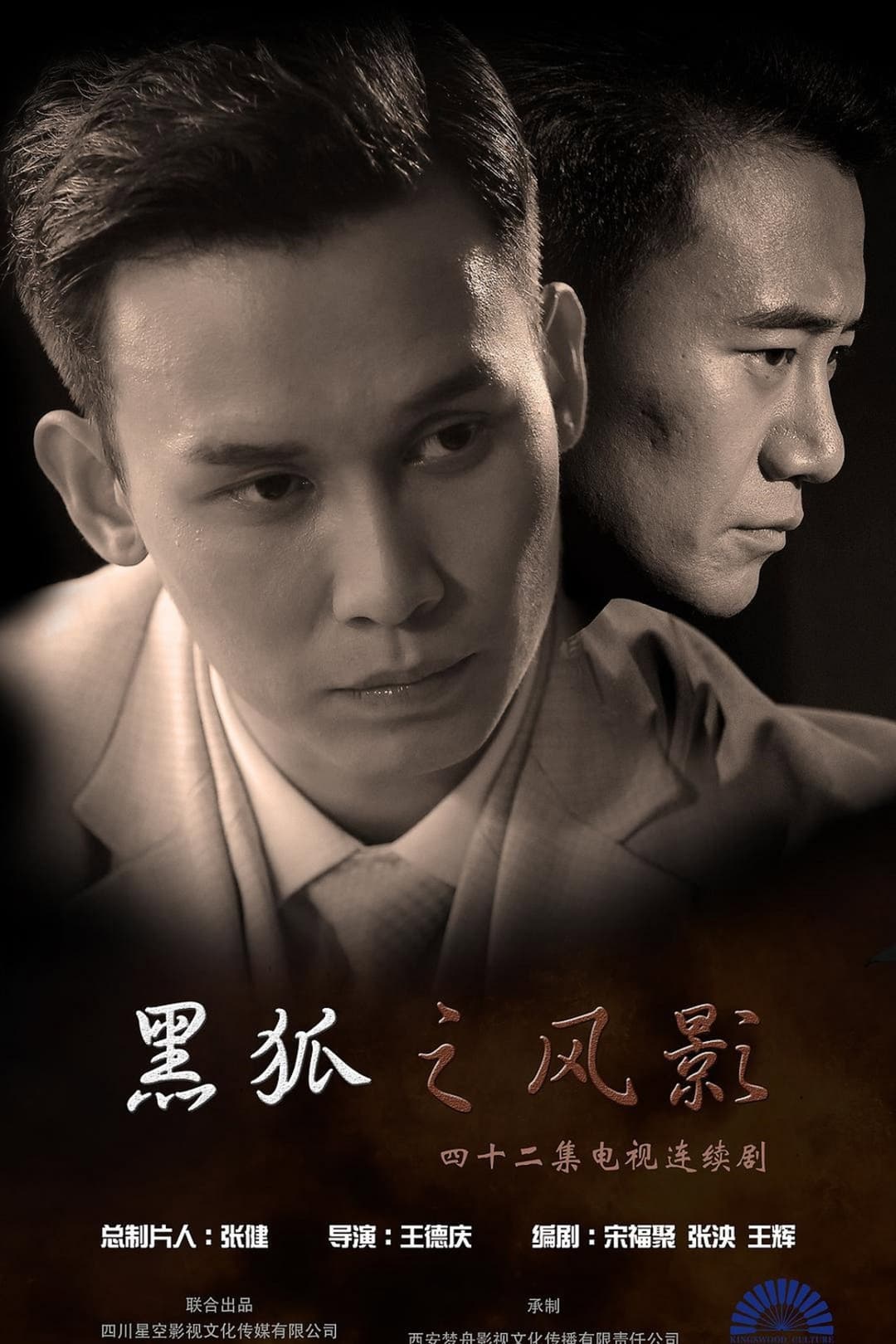 Poster di 黑狐之风影