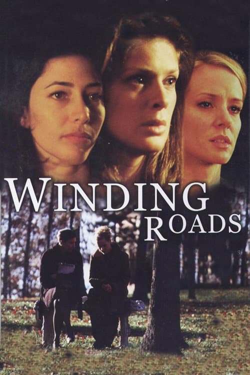 Poster di Winding Roads