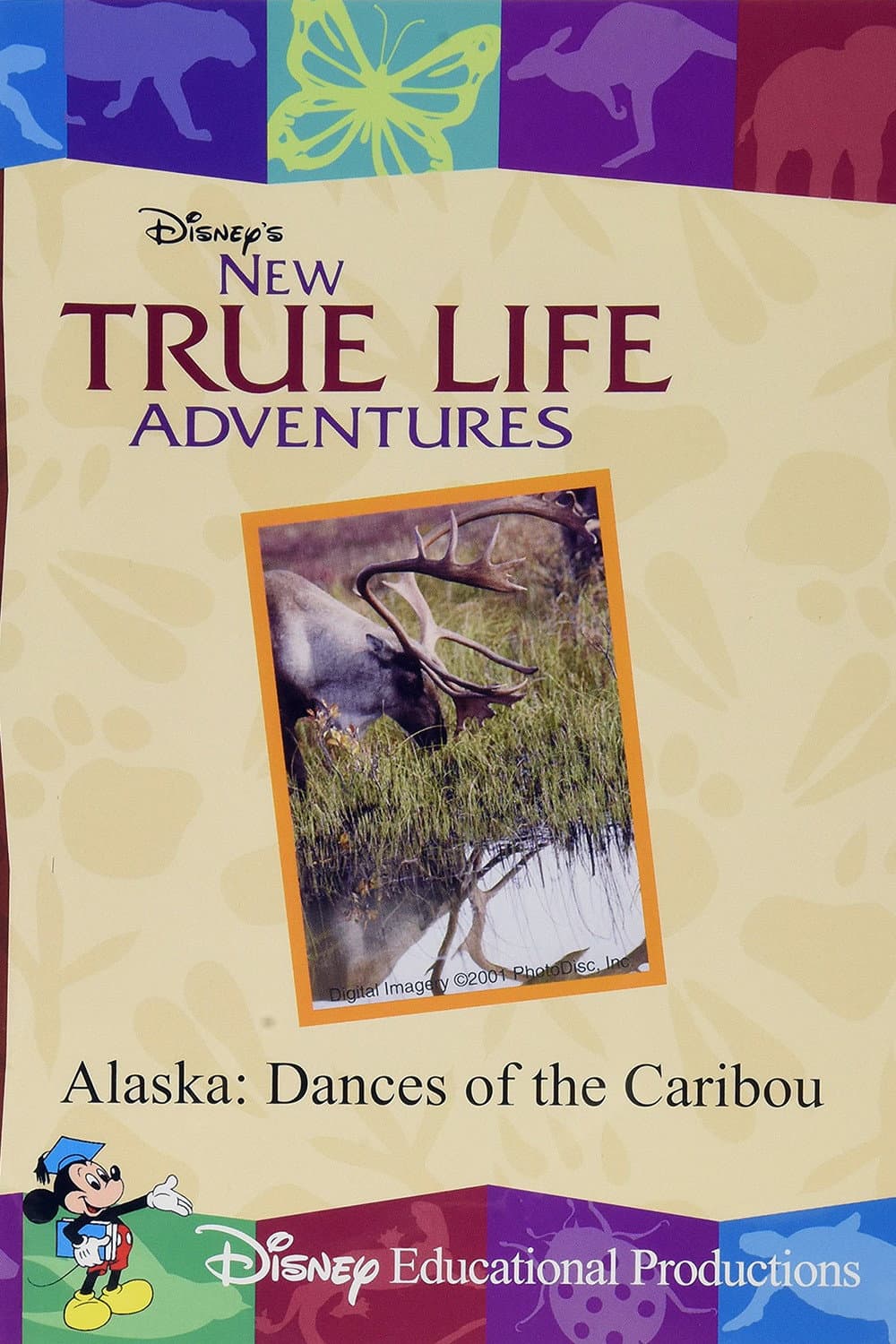 Poster di Alaska: Dances of the Caribou