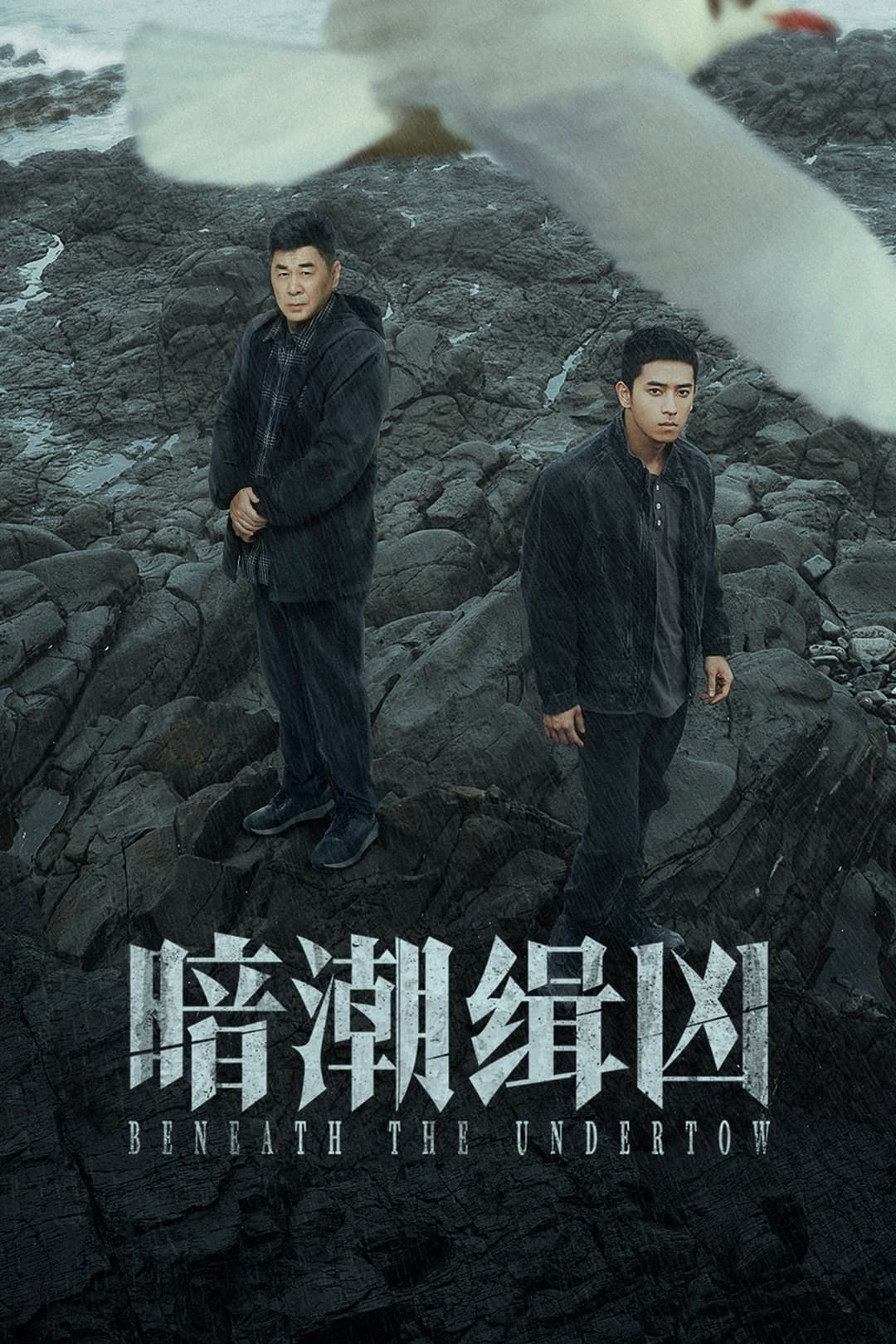 Poster di 暗潮缉凶