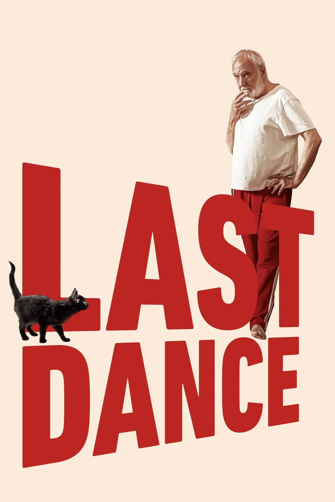 Poster di Last Dance
