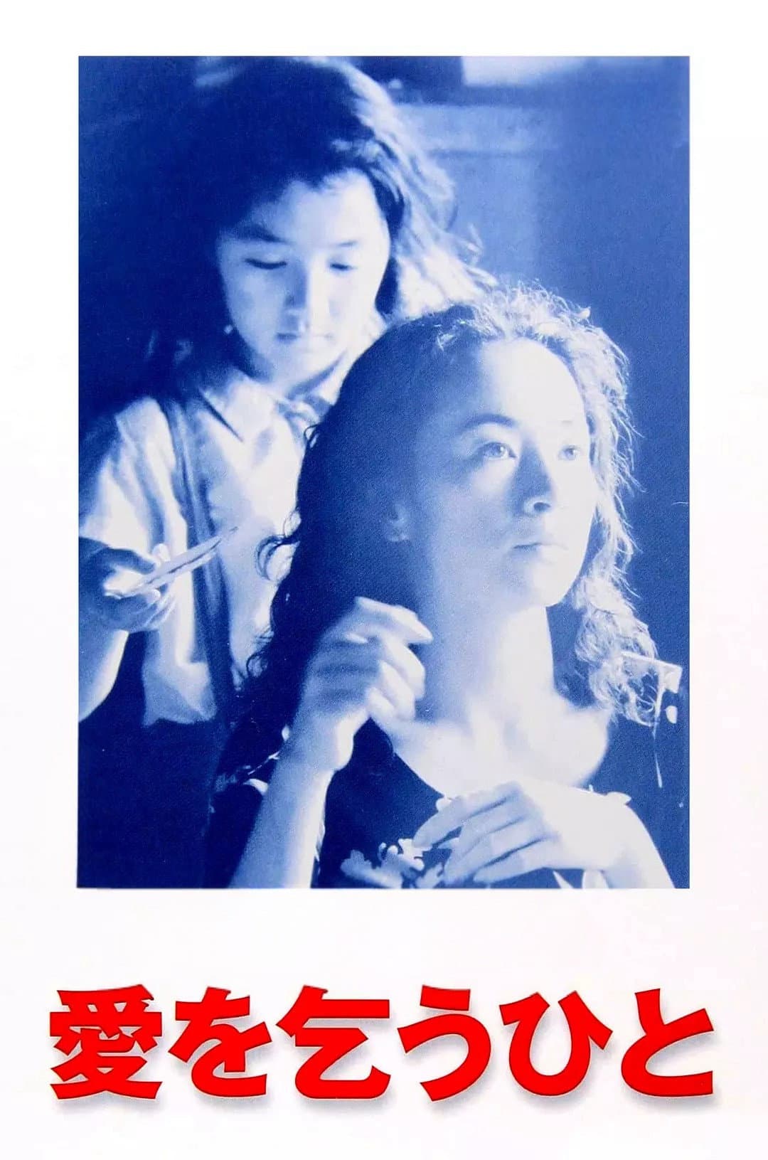 Poster di 愛を乞うひと