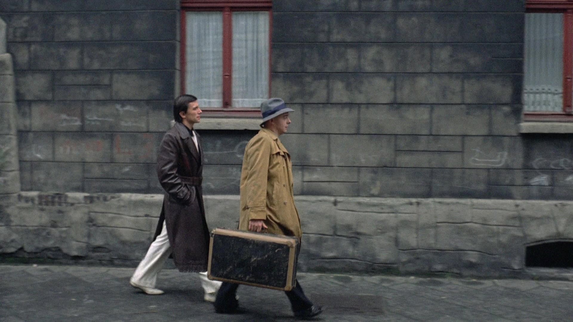 La tenerezza del lupo - immagine