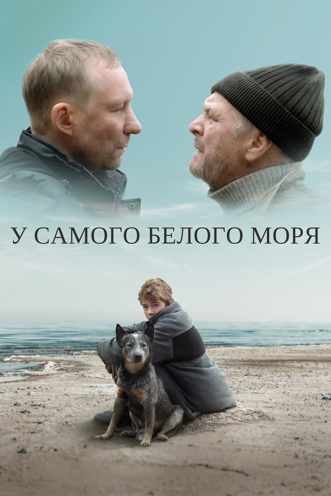 Poster di У самого белого моря
