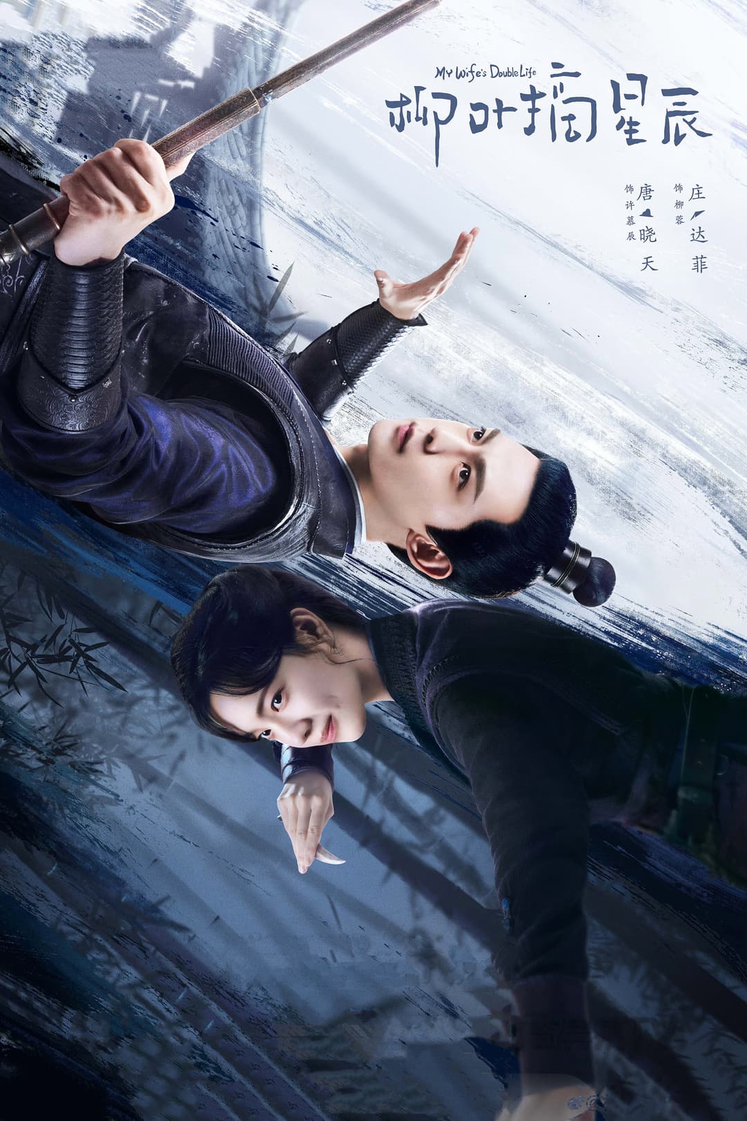 Poster di 柳叶摘星辰
