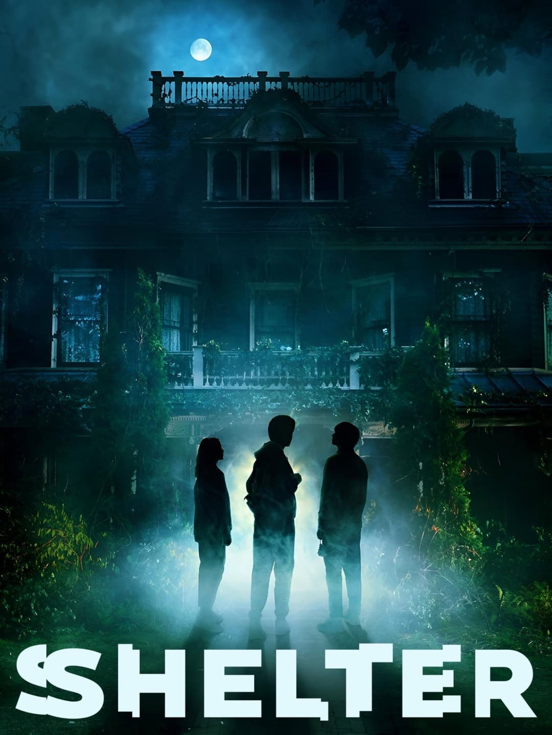 Poster di SHELTER