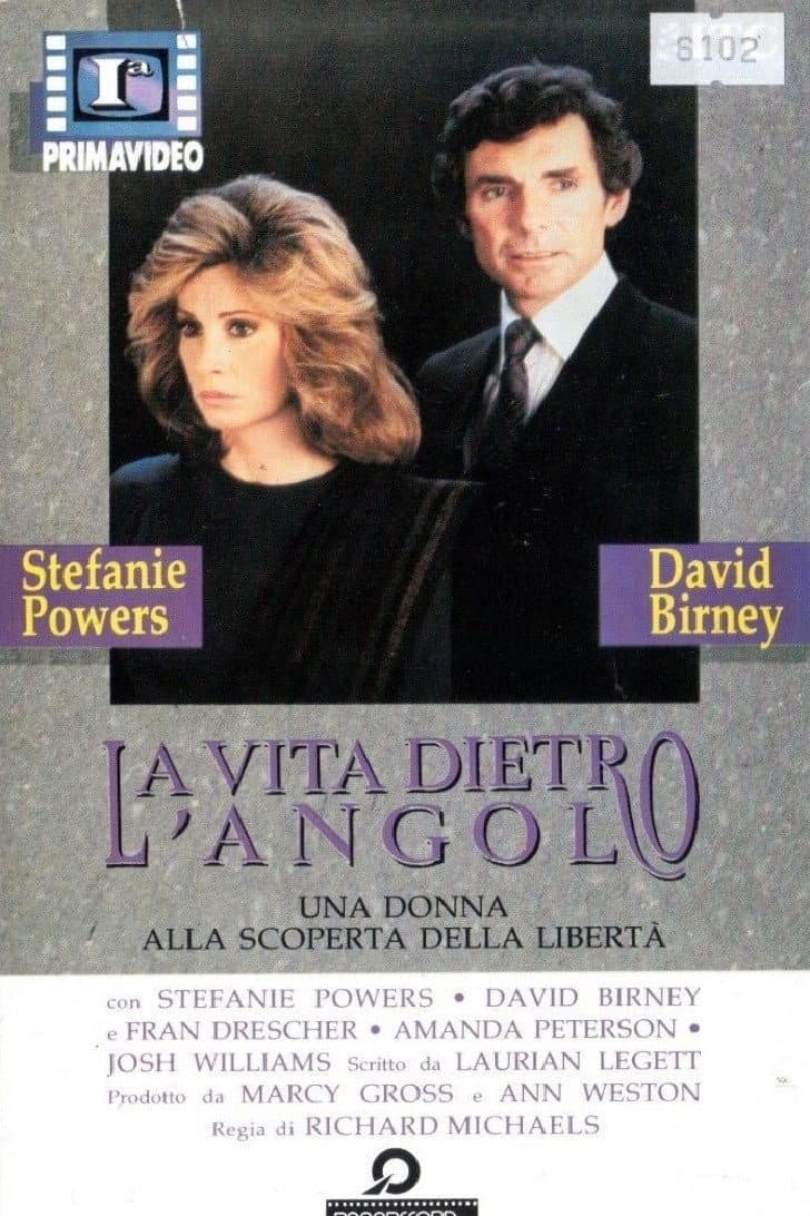 Poster di La vita dietro l'angolo