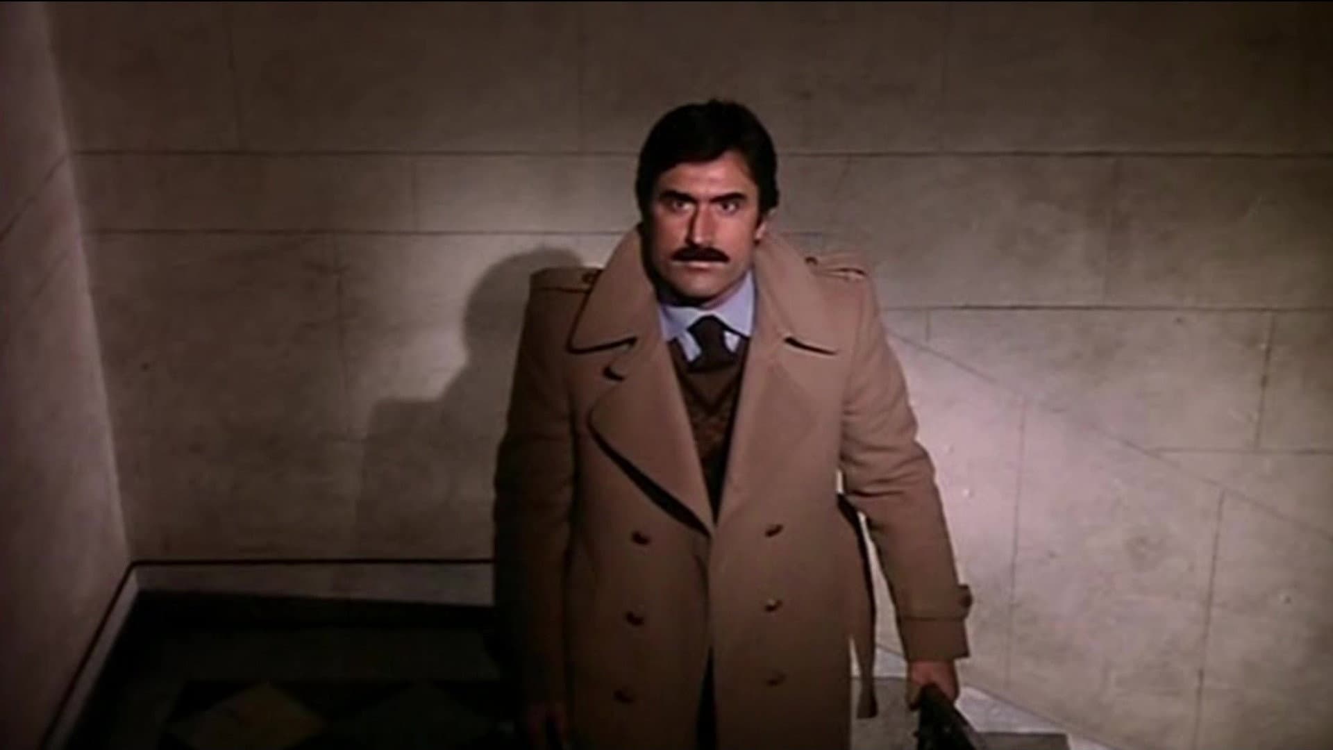 Il fidanzamento - immagine