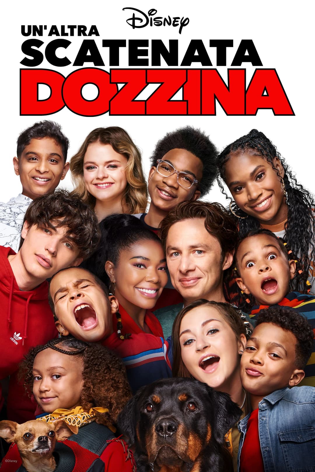 Poster di Un'altra scatenata dozzina