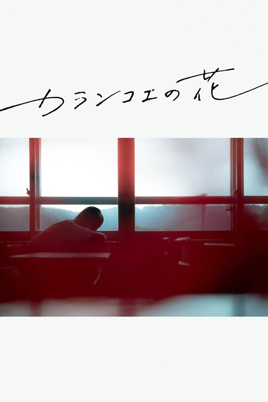 Poster di カランコエの花