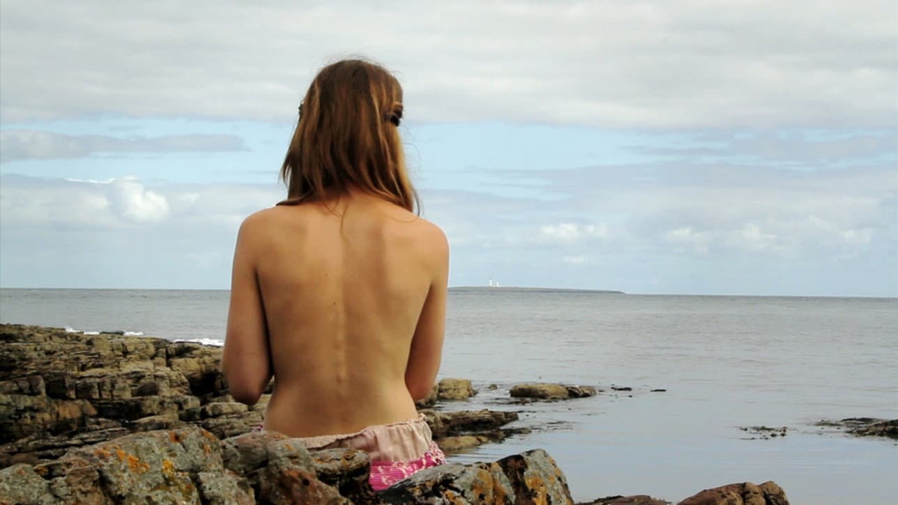 The Selkie's Lover - immagine