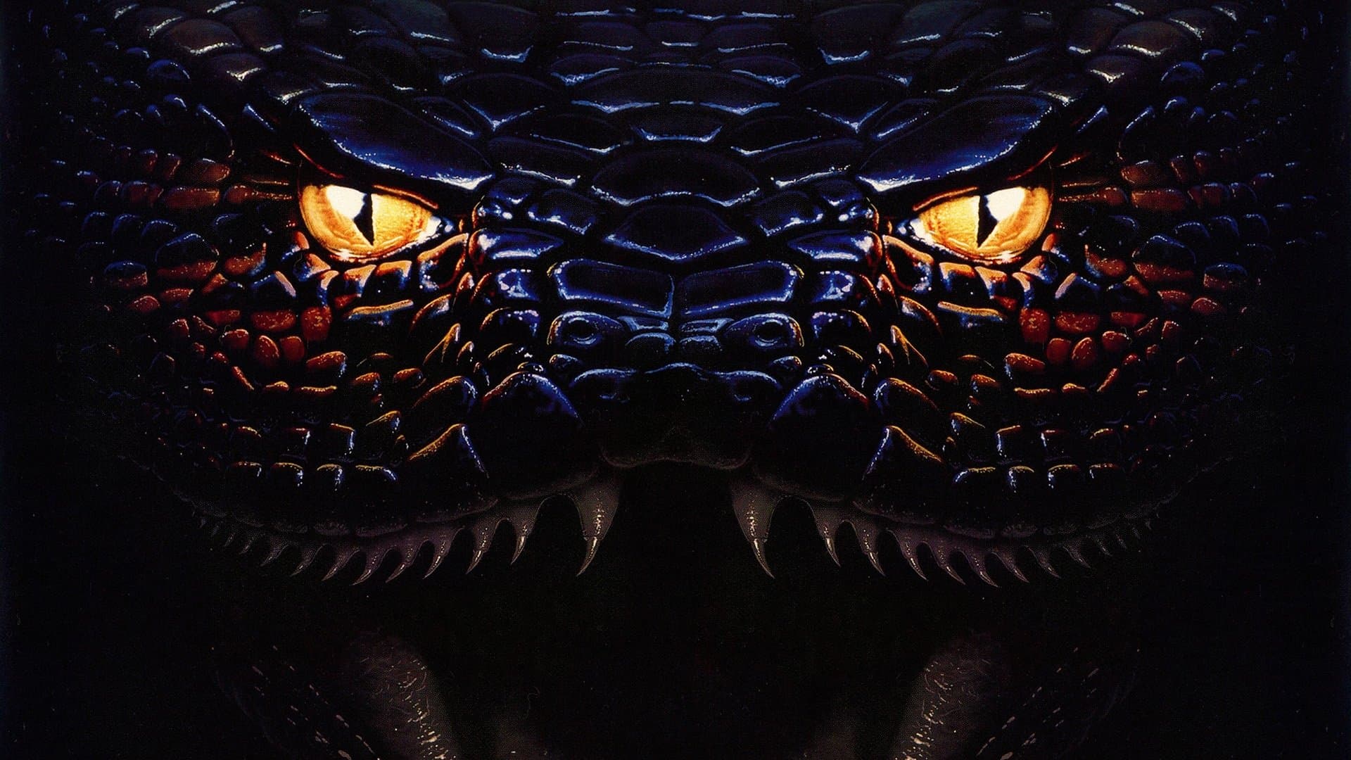 Anaconda - immagine
