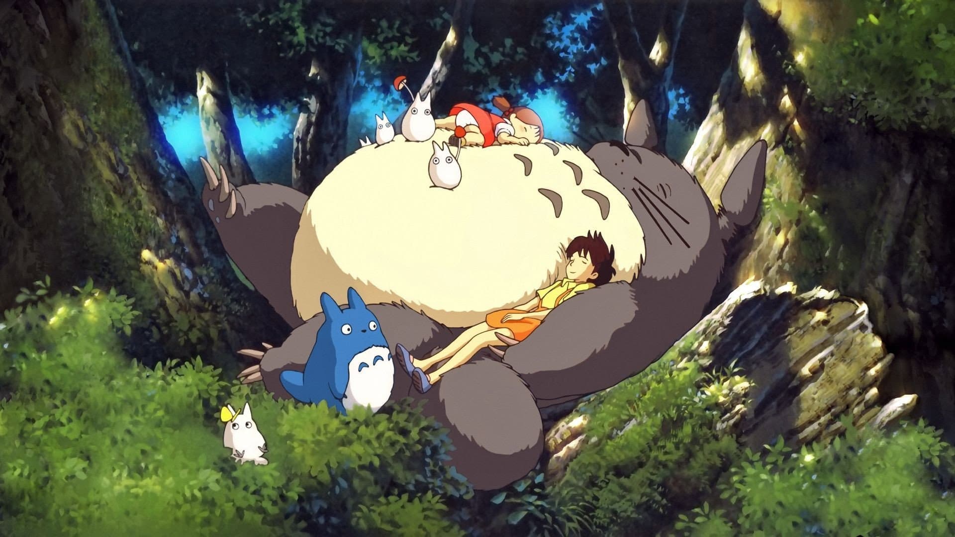 Il mio vicino Totoro - immagine