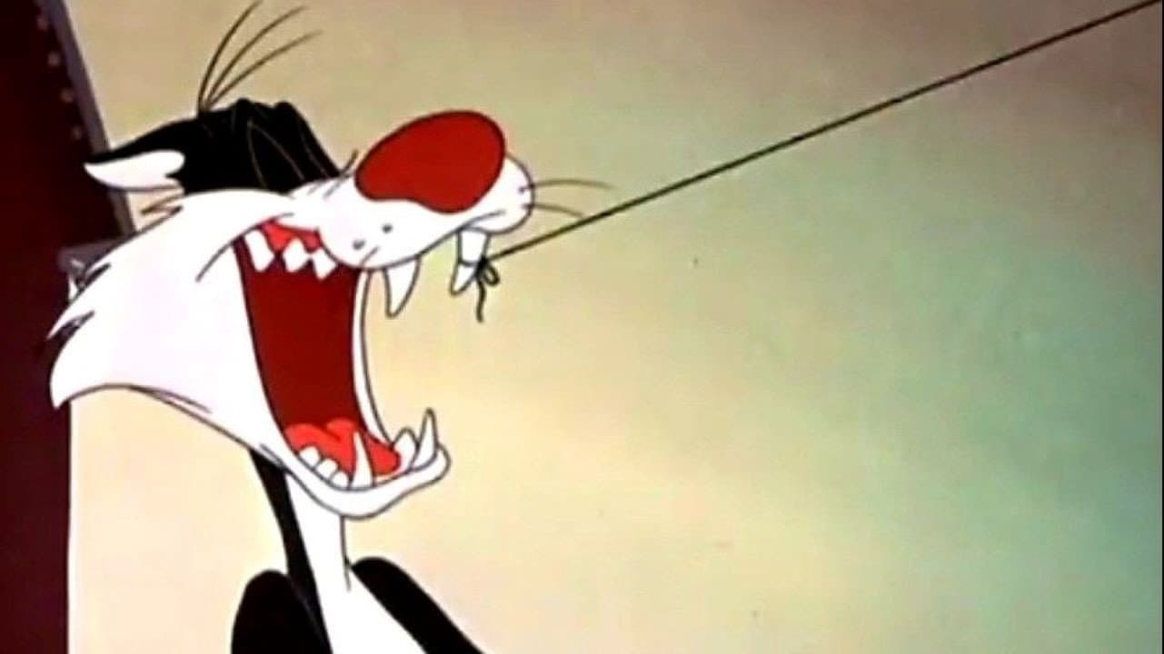 Cattivone di un gatto - immagine