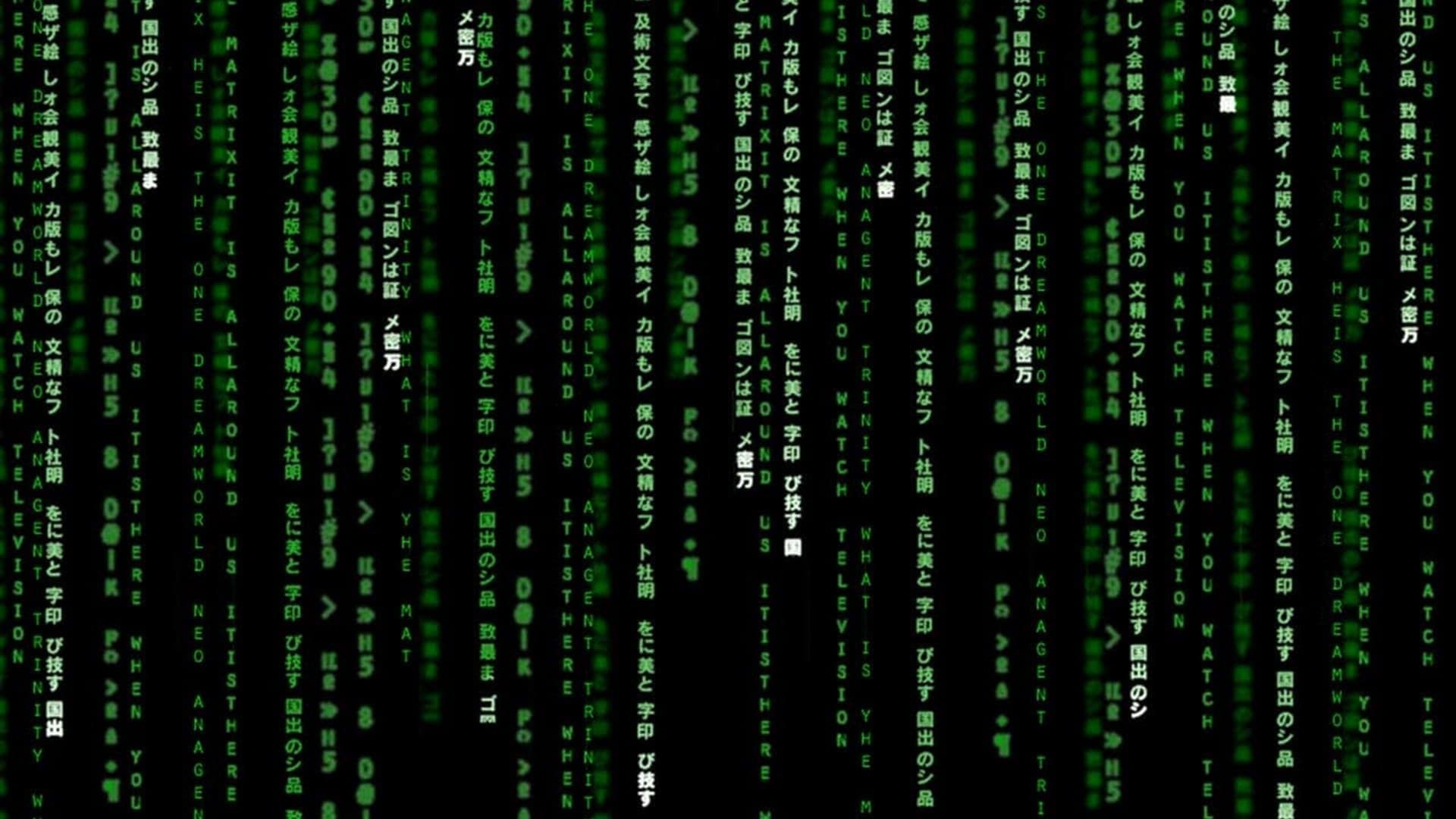 Matrix Reloaded - immagine