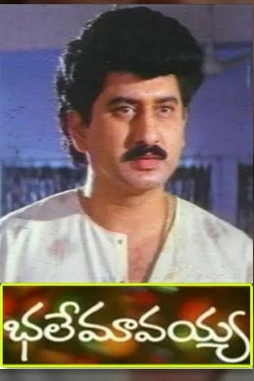 Poster di Bhale Mavayya