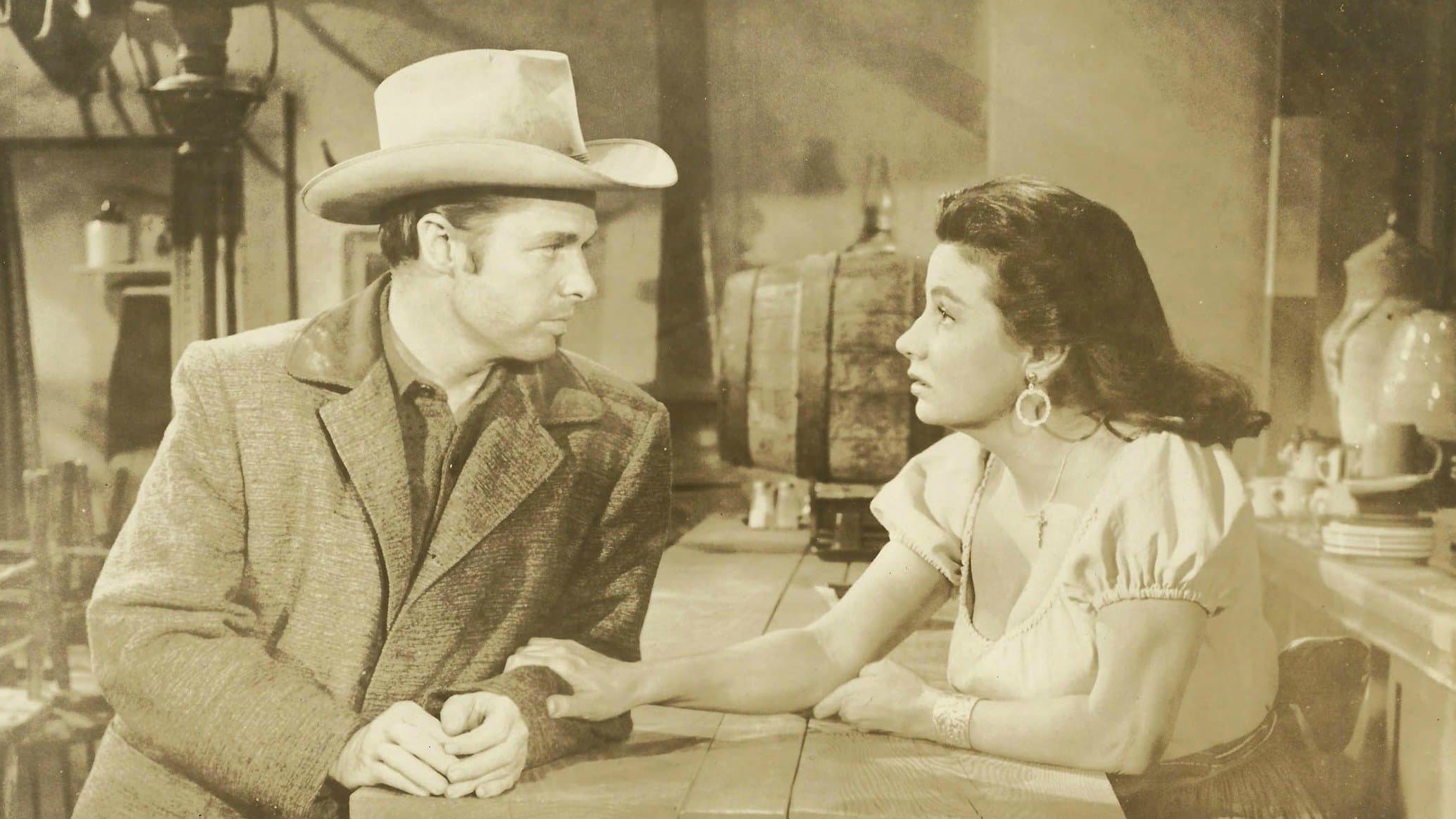 Fermati cow-boy! - immagine
